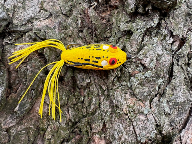 Yellow Tree Frog 2 inch