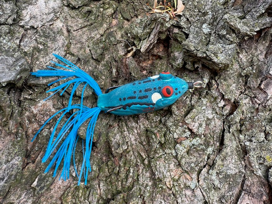 Blue Tree Frog 5 inch
