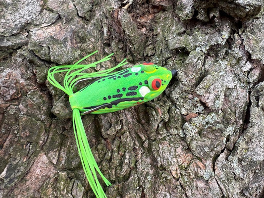 Green Tree Frog 2 inch