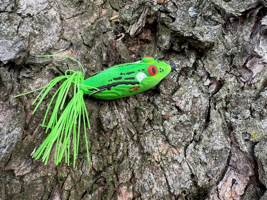 Green Tree Frog 5 inch