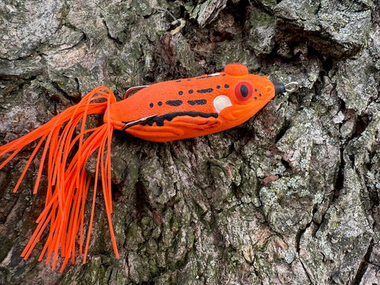 Orange Tree Frog 5 inch