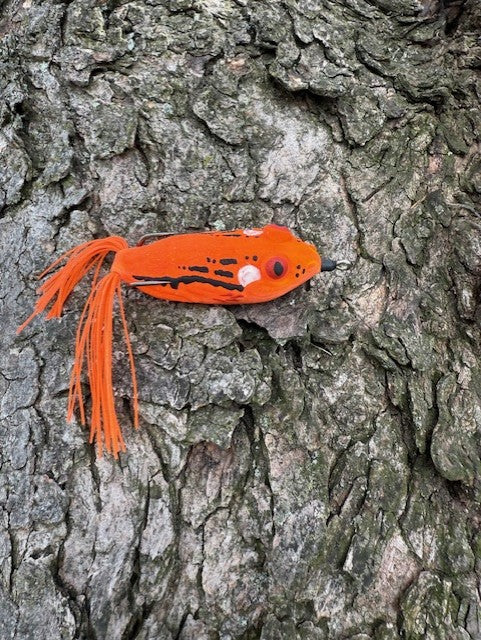 Orange Tree Frog 2 inch