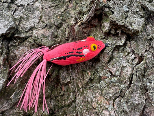 Pink Tree Frog 5 inch
