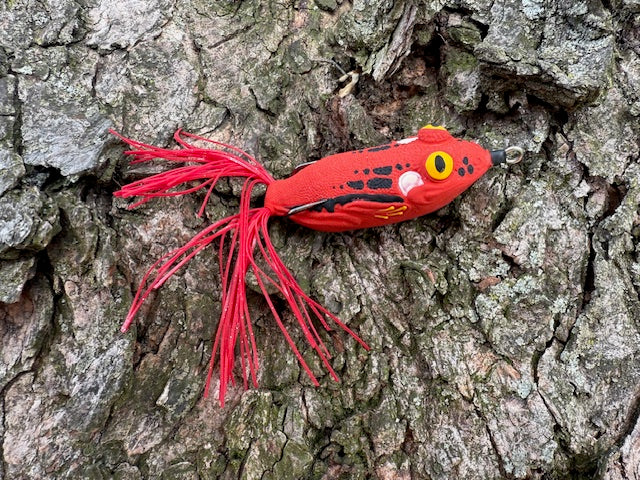 Red Tree Frog 5 inch