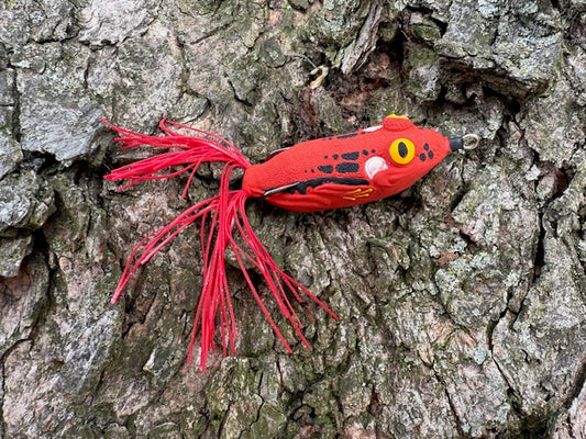 Red Tree Frog 5 inch